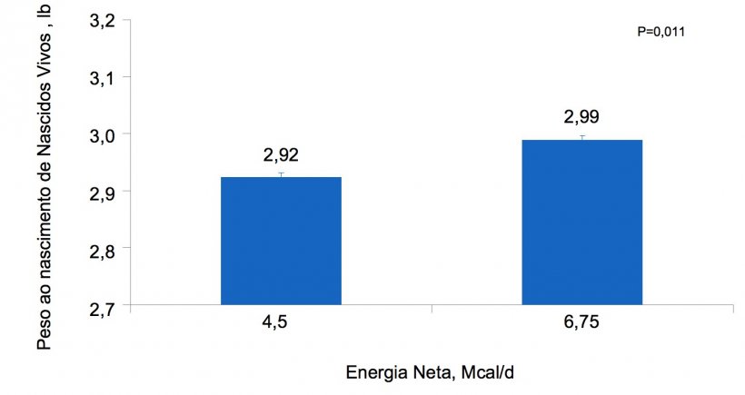 Figura 3. Efeitos da alimenta&ccedil;&atilde;o com&nbsp;diferentes n&iacute;veis&nbsp;de energia, desde o&nbsp;dia 90 ao&nbsp;dia 111 de gesta&ccedil;&atilde;o, no&nbsp;peso individual ao&nbsp;nascimento de leit&otilde;es nascidos vivos de prim&iacute;paras e&nbsp;porcas.
